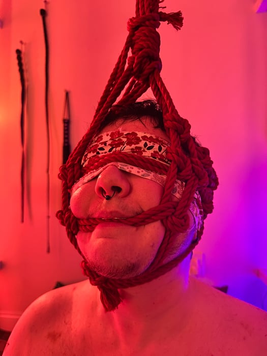 Immersive Shibari Experience by TheMissStevie