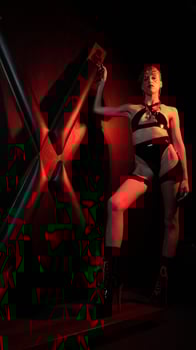 Professional Domination