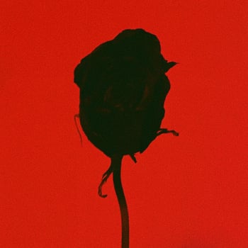 Erotic Ritual Massage (In Person)