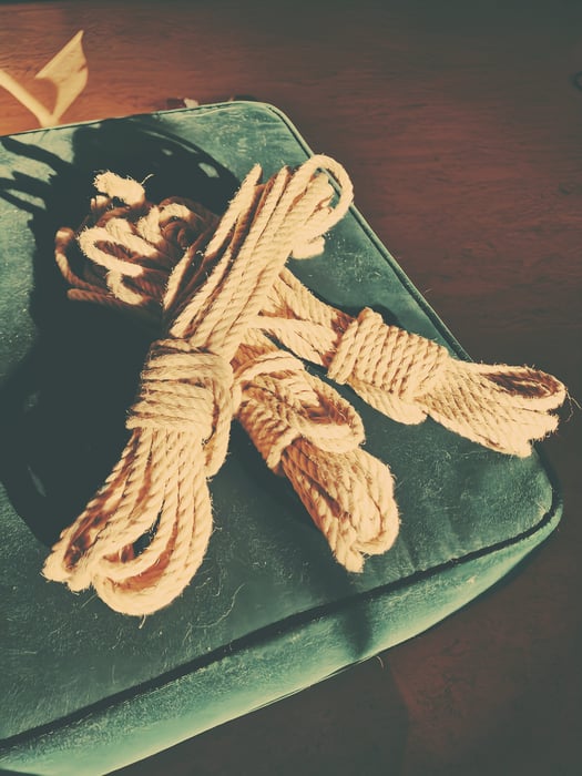 Online Intro-Event: How to become a Pro Domina/Dominus - hosted by Master Samael by MasterSamael