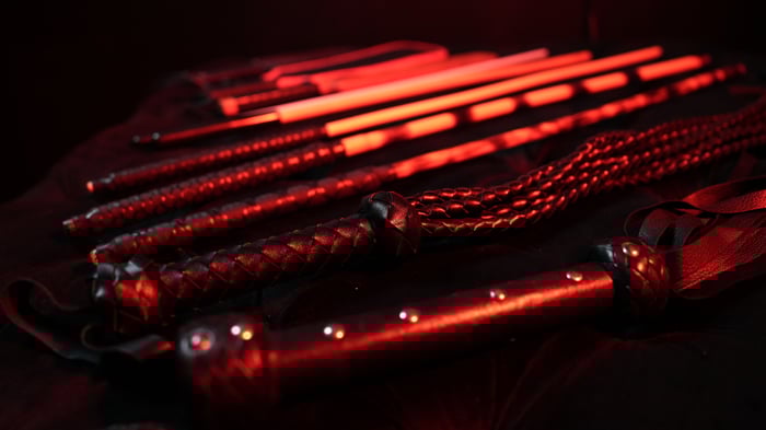 Professional Domination by mistresssade